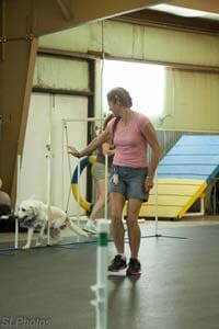 Dog Class - Dog agility training in Lakewood, CO