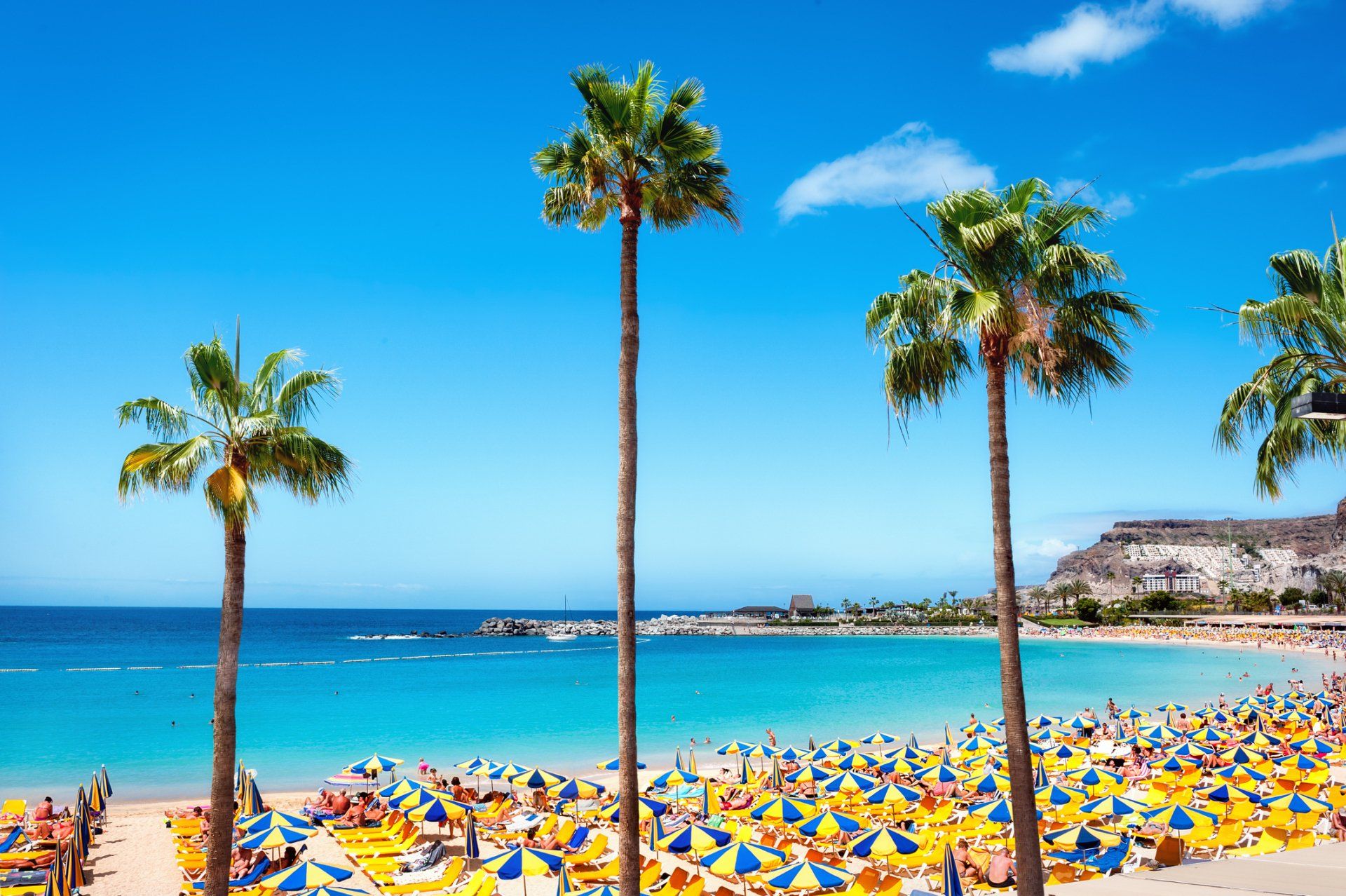 PLAYA AMADORES, Gran Canaria