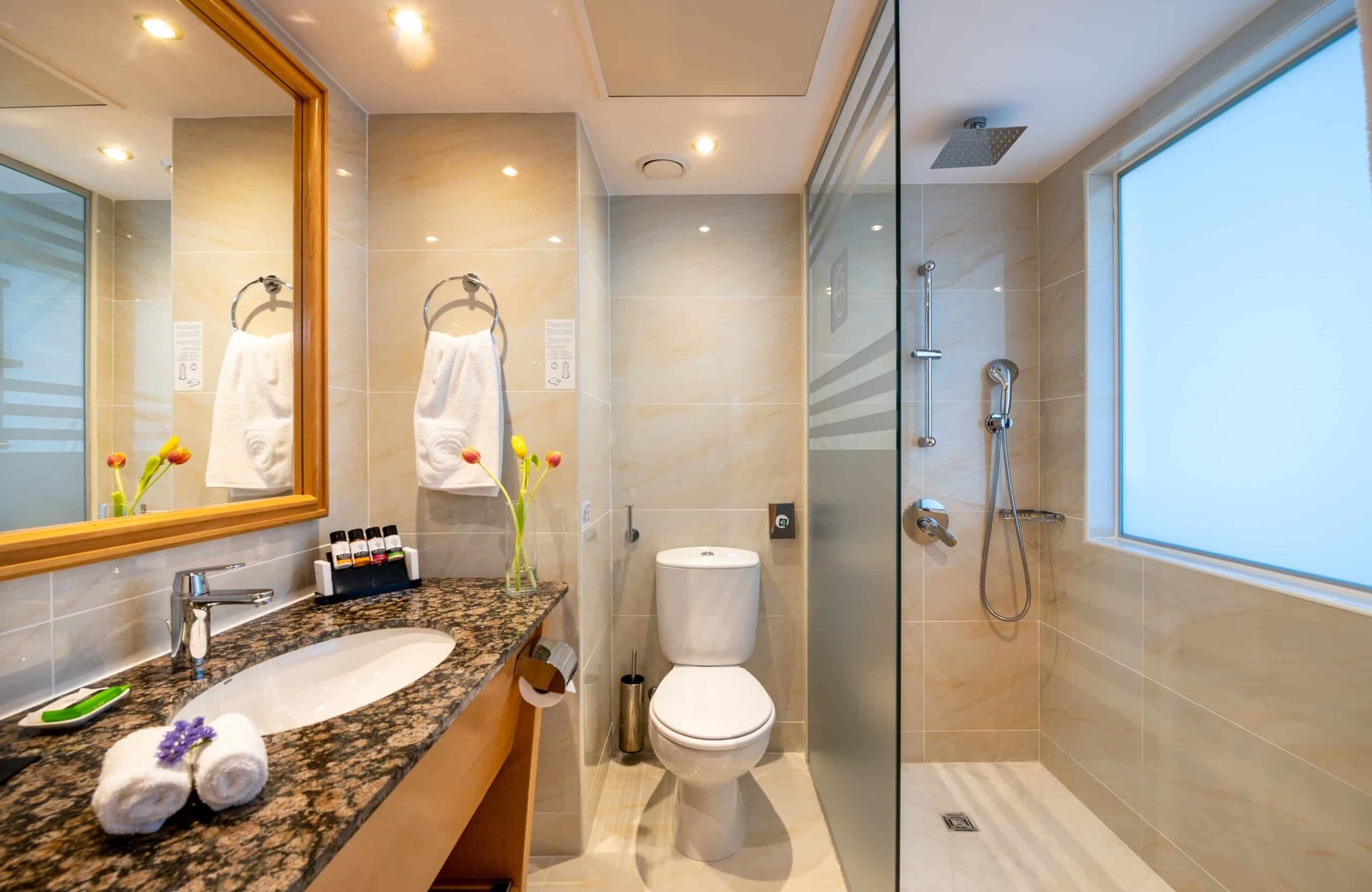 Athena Beach Hotel - Cyprus Classic Room with Walk in Shower