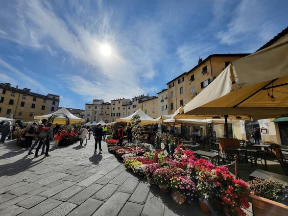 Flower Market, Lucca, Tuscany