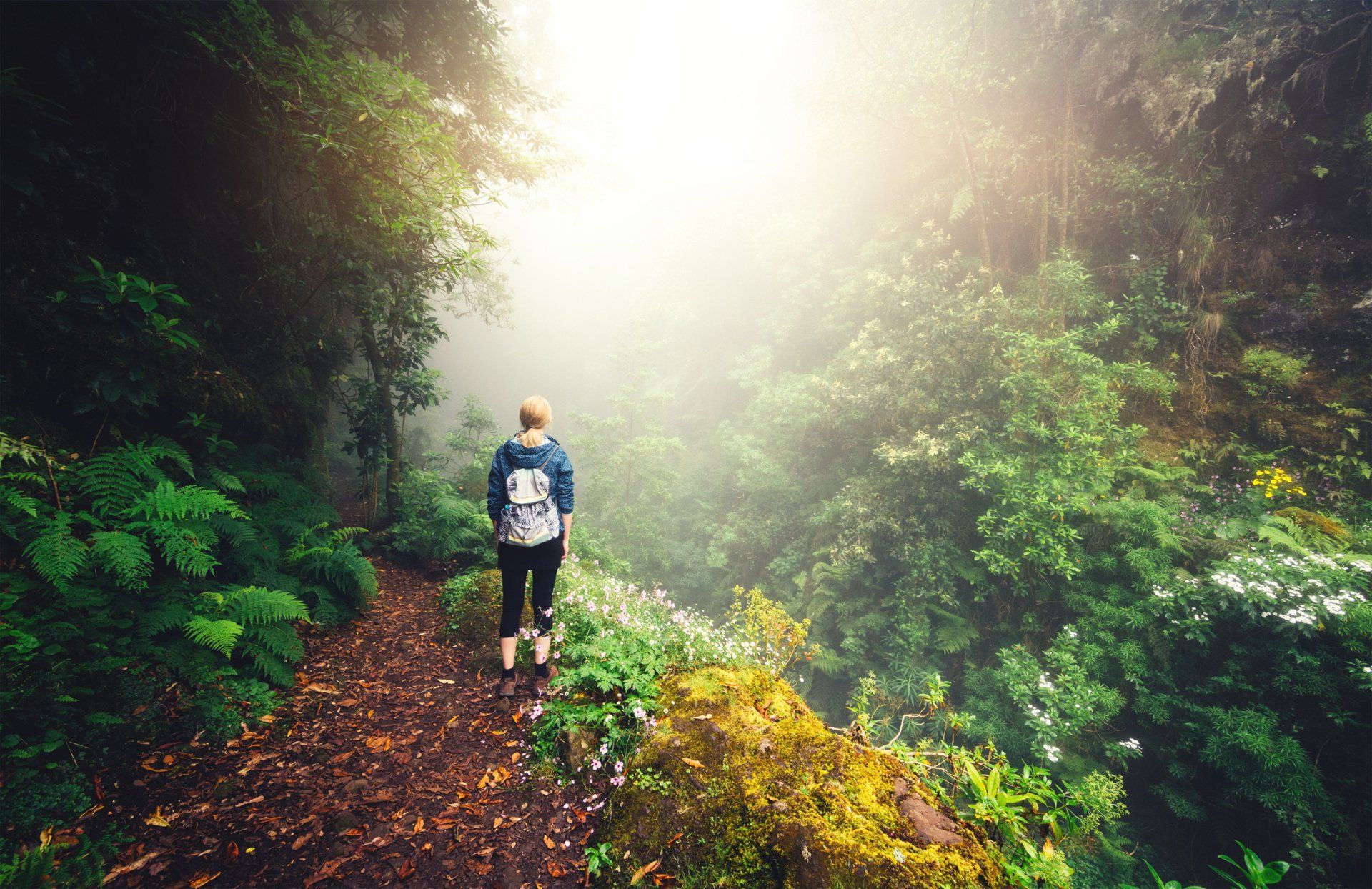 Madeira Walking Adventure Holiday