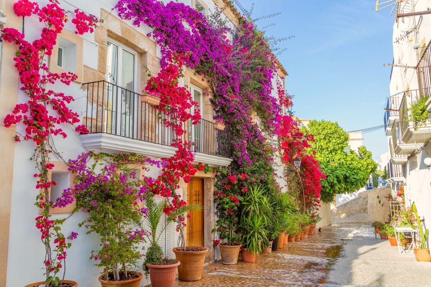 Villa with colorful flowers , ibiza