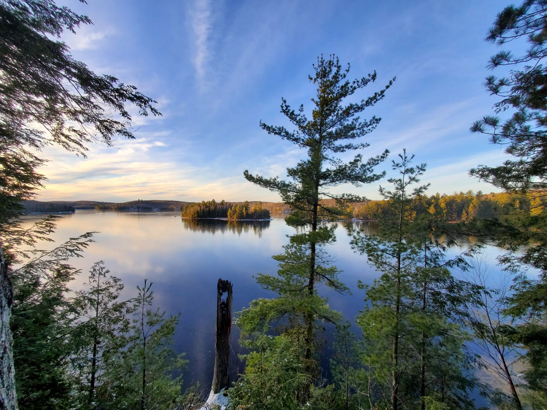A lake surrounded by trees on a sunny day