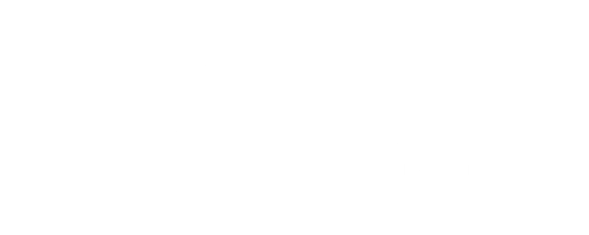 A white background with a few lines on it