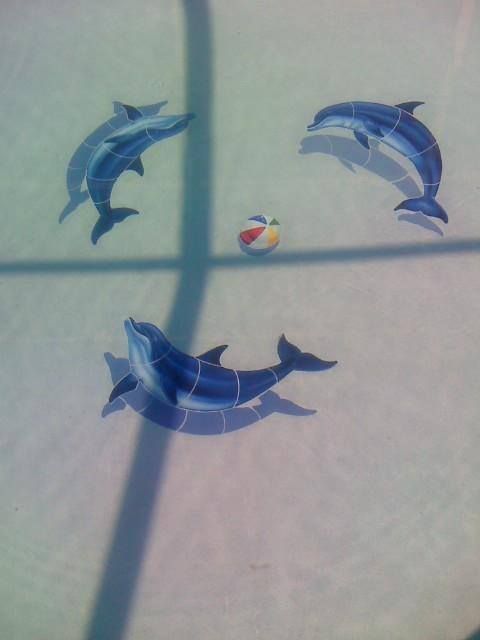 Dolphins and a ball painted on the bottom of a pool, creating a playful scene.