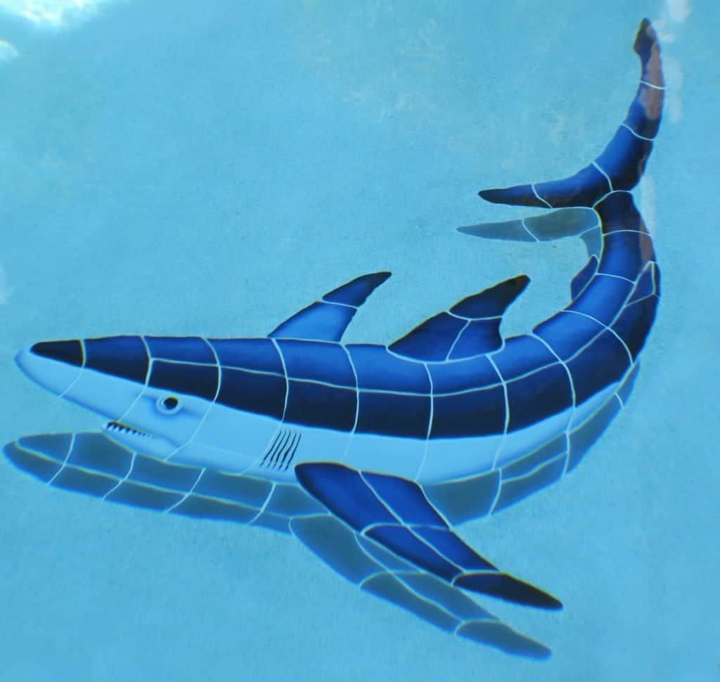 Blue tiled shark swimming in light blue water.