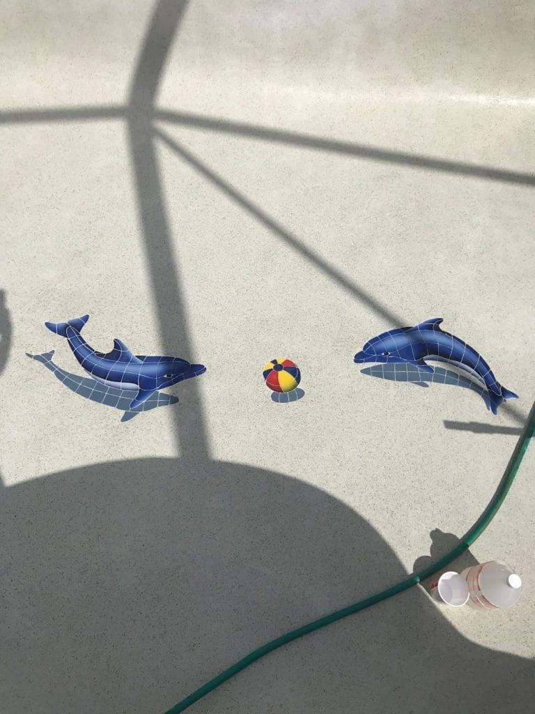 Two blue dolphin mosaics and a ball in a pool, with a shadow and hose.