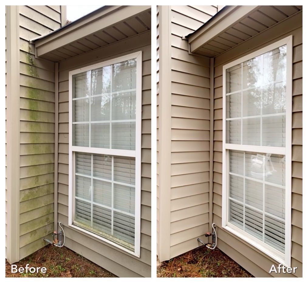 Before and after of house siding cleaned, showing removal of green mold near a window.
