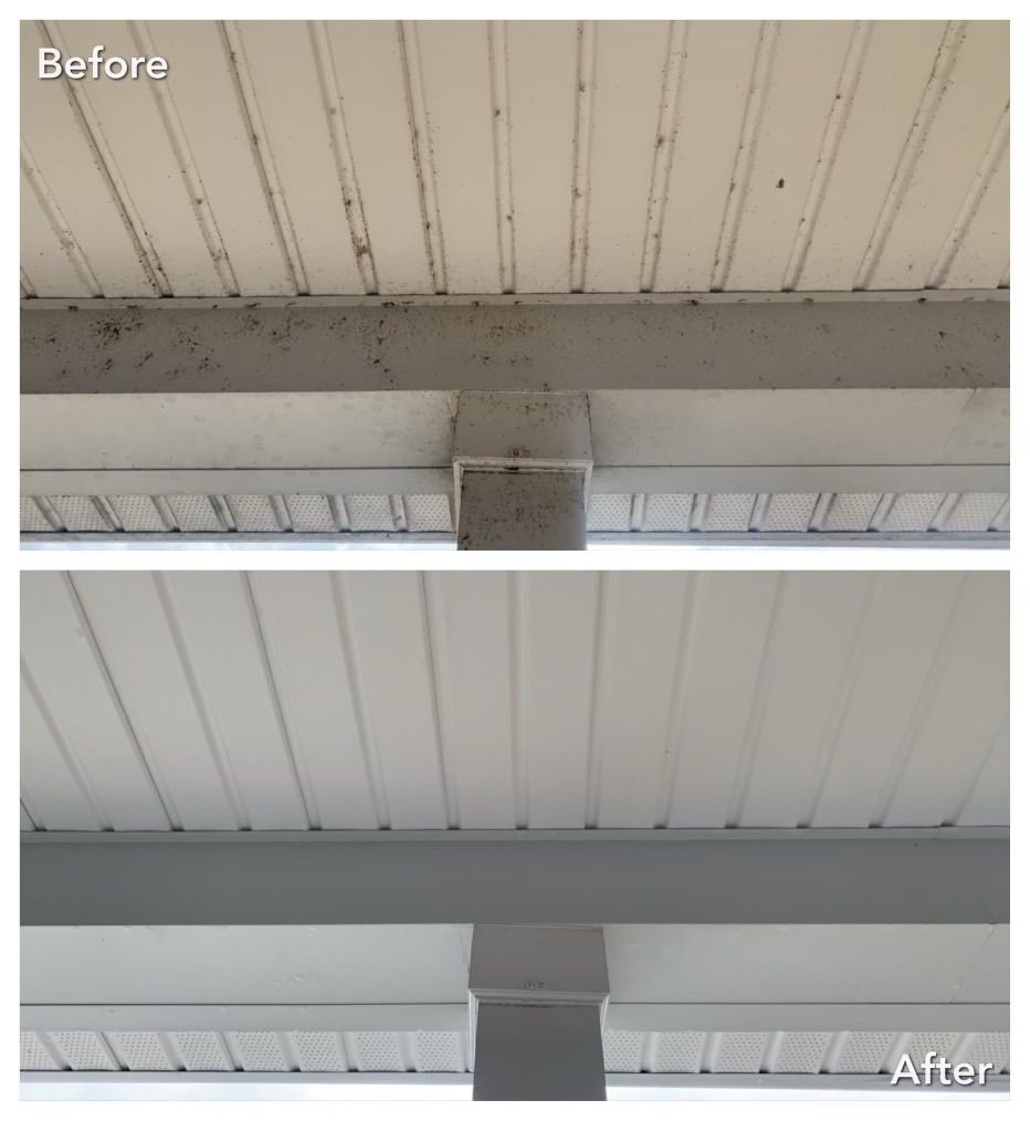 Before and after of a porch ceiling and beam cleaning. White ceiling and grey beam, significantly cleaner in after photo.