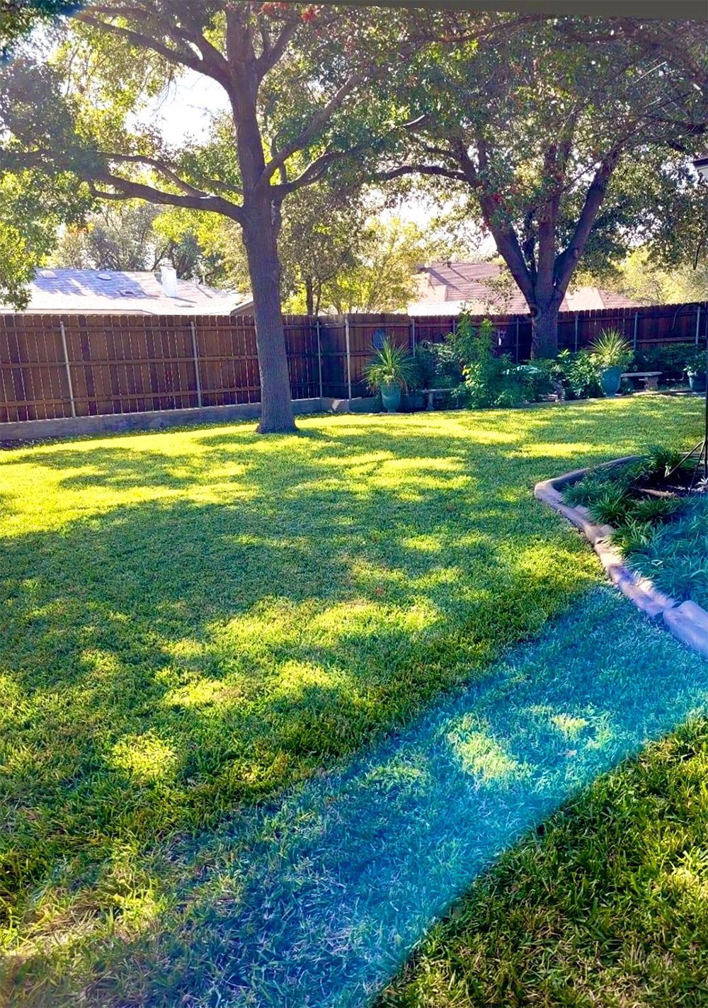 Green backyard with a lawn, trees, a wooden fence, and a pathway.