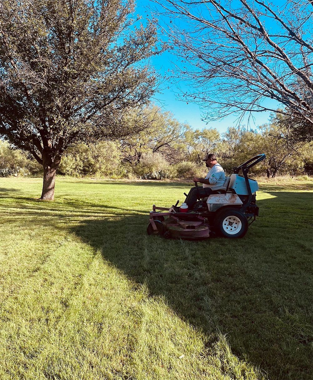Person on a riding lawnmower cutting grass on a sunny day near trees.