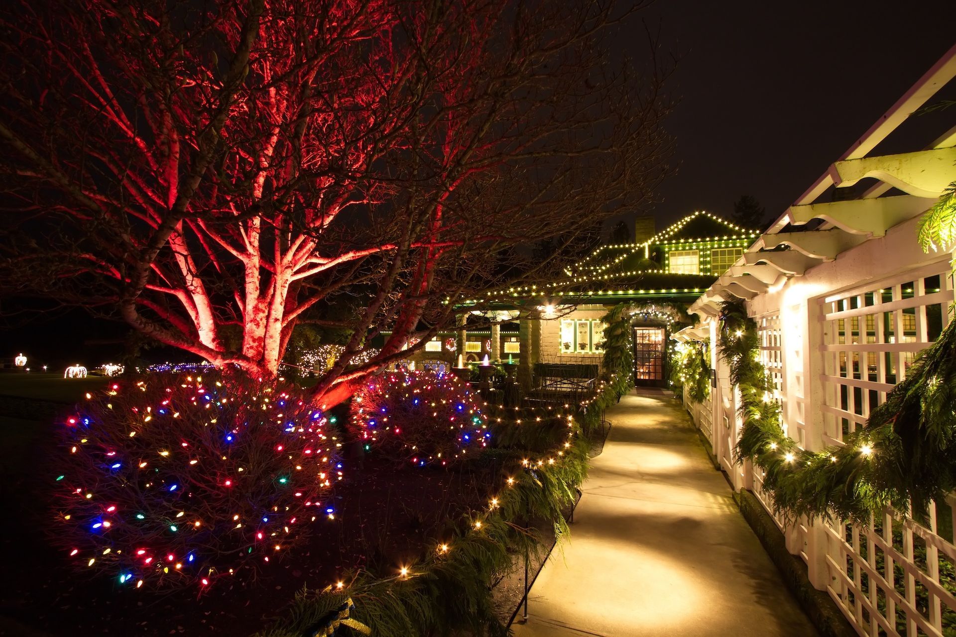 Holiday lights illuminate a house and pathway. Red tree, bushes, and garlands adorn the walkway.