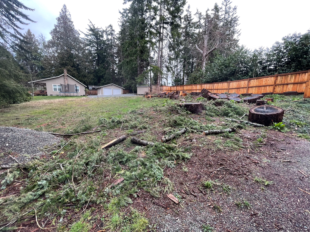 A yard with a fence and a house in the background.