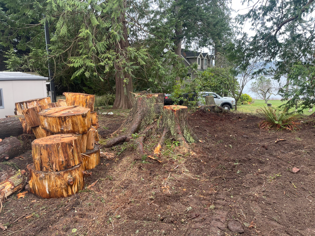 A pile of logs sitting on top of each other in a dirt field.