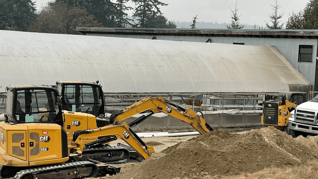 Site Development