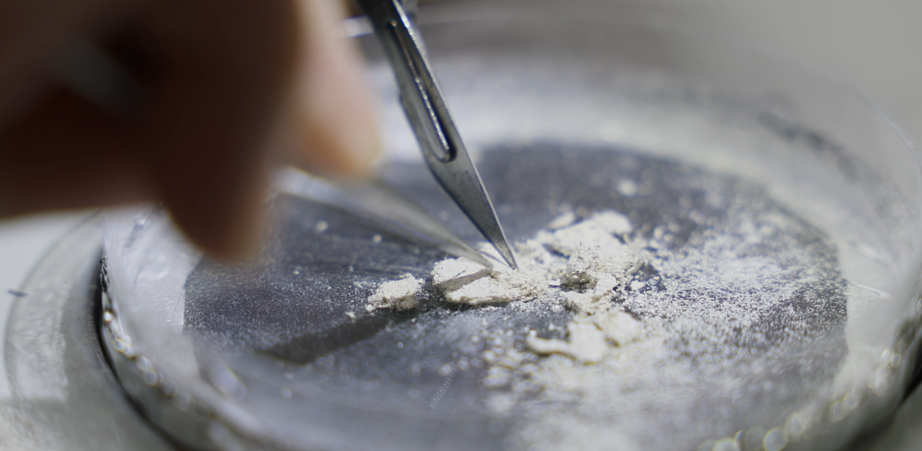 A person is holding a pair of tweezers in a petri dish to extract asbestos
