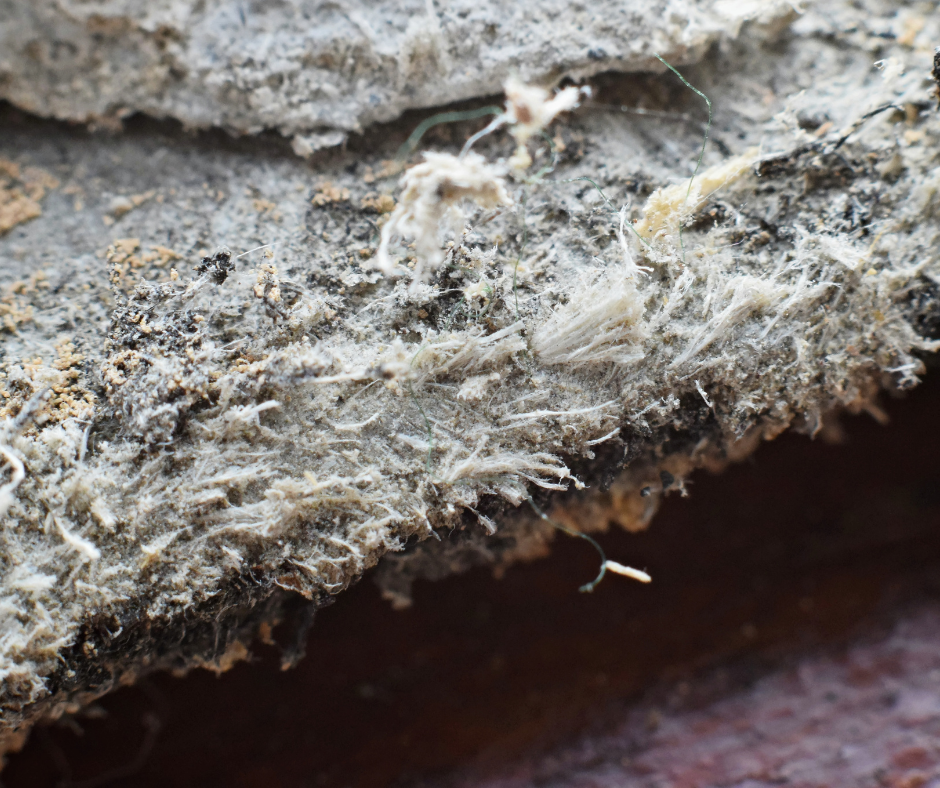 A close up of a piece of asbestos on a concrete surface.