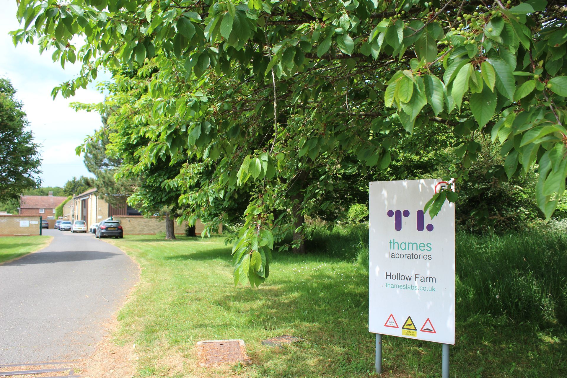 Entrance to Thames Laboratories - sign with the TL logo and a long leading road to the Head Office building.