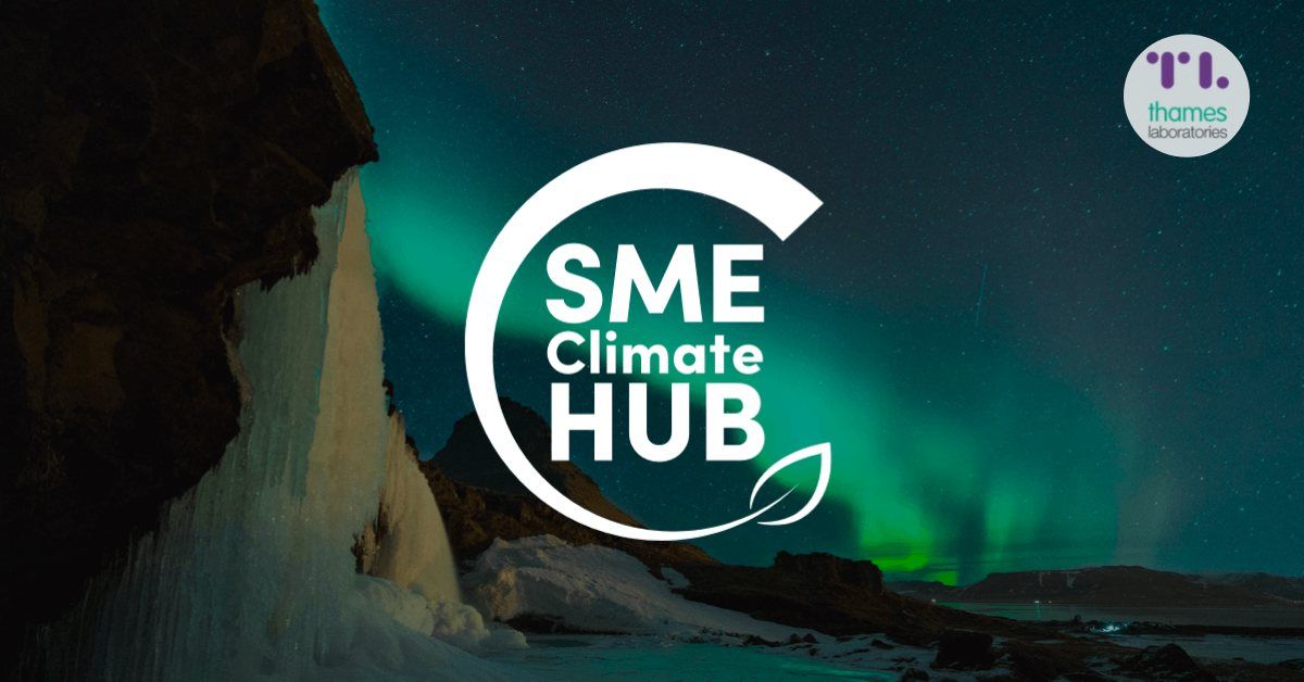 A sme climate hub logo with a mountain in the background
