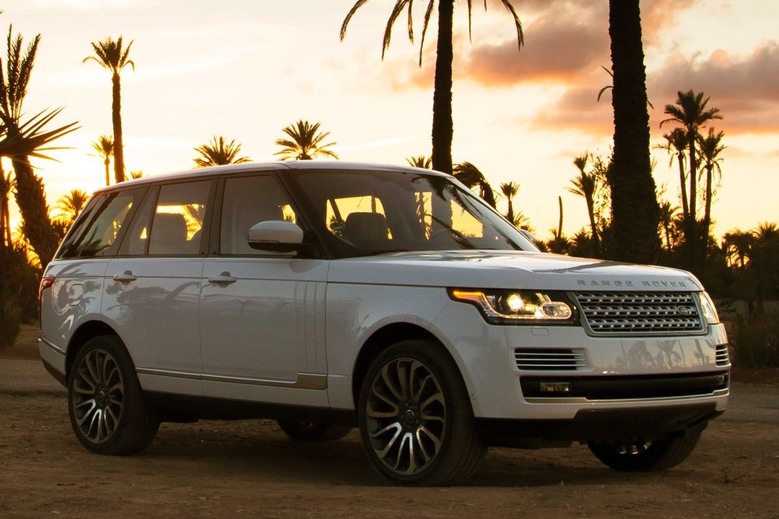 A white range rover is parked in front of palm trees