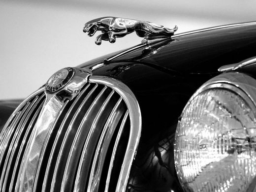A black and white photo of a jaguar car