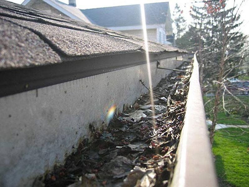 Foglie nella grondaia