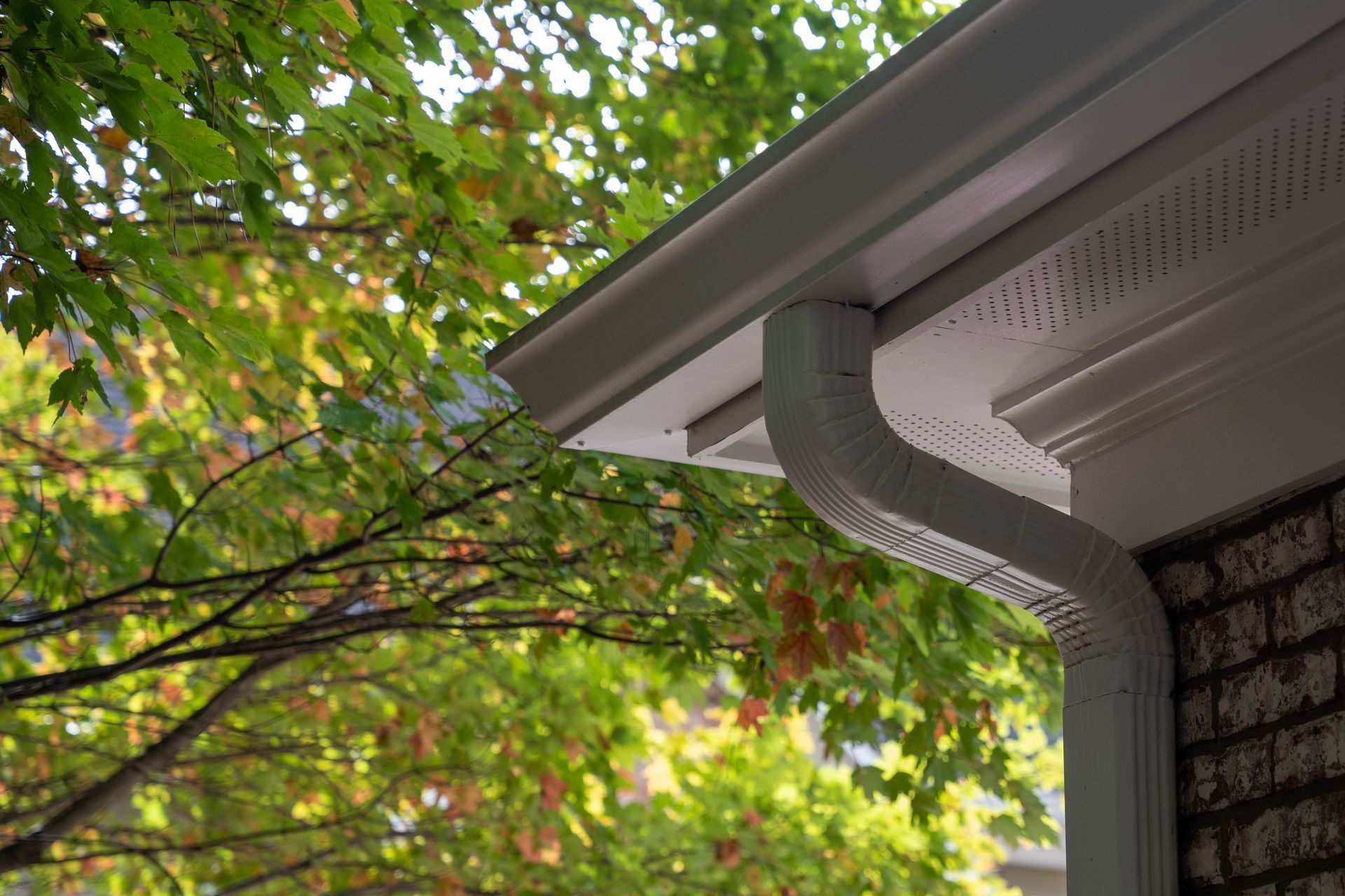 White gutter and downspout on a house under green tree branches