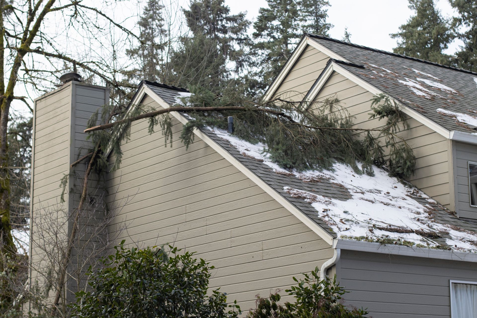 Snow-covered suburban rooftops with beige siding and evergreen trees in the background