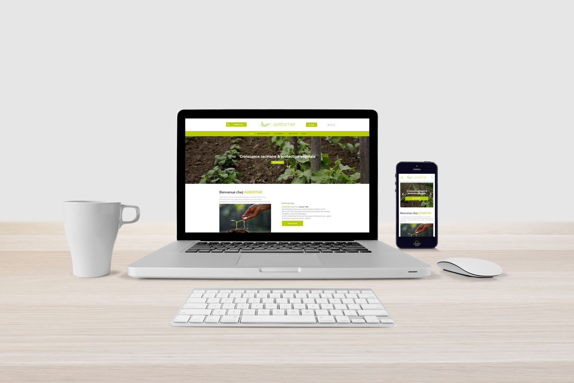 Création d'un site web pour une agence de street marketing 