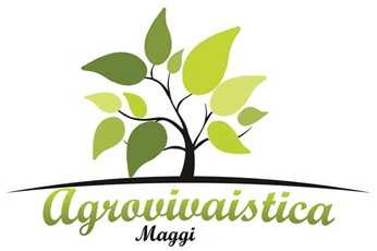 AGROVIVAISTICA MAGGI-LOGO