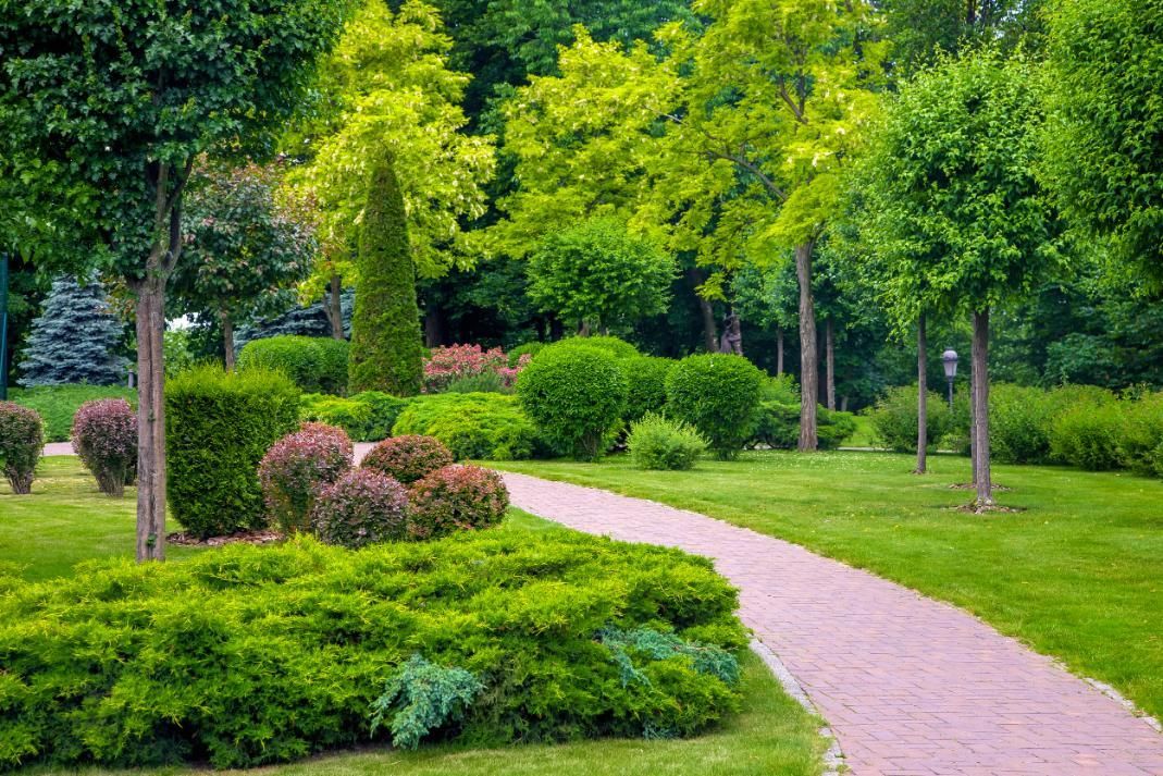 A winding stone path through a lush green garden with various shrubs and trees.