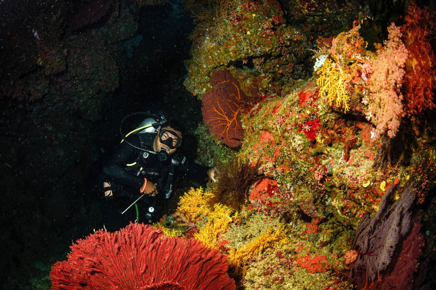 A diver explores a soft coral reef looking for macro 