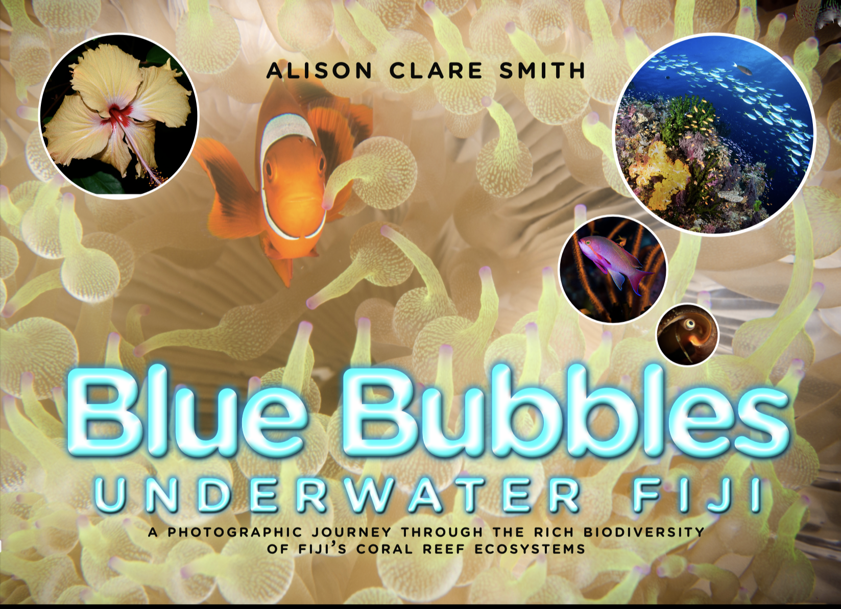 blue bubbles underwater fiji