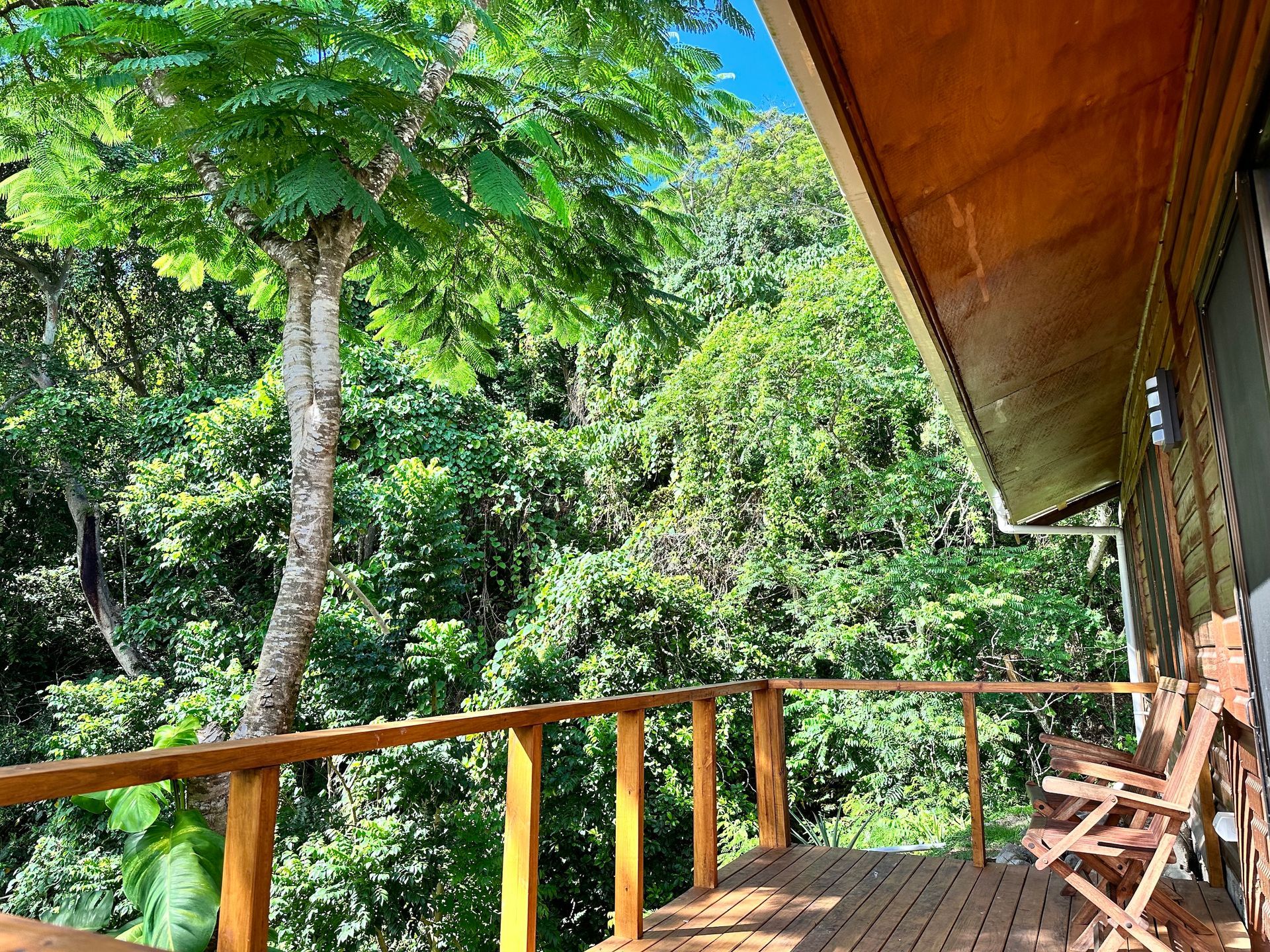 The view over the rainforest from the Latui Loft in Savusavu
