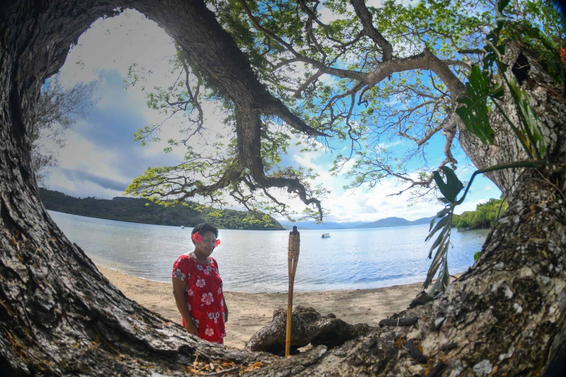 The famous Fijian tree with a Fijian lady standing in between the branches at charming Sau Bay Resort in Fiji 
