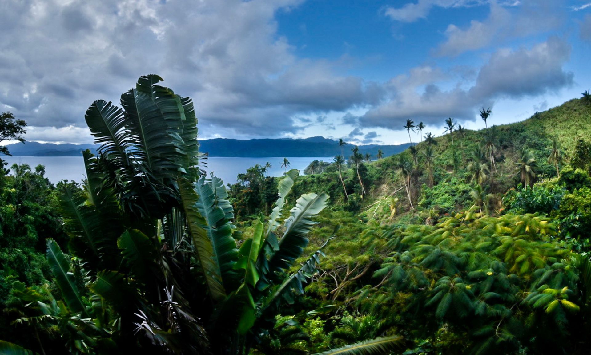 The view from the verandah over the lush jungle and blue ocean of Savusavu