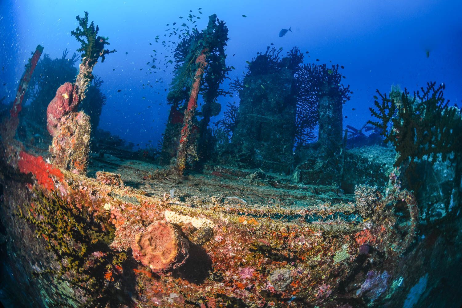 Fiji wreck photo
