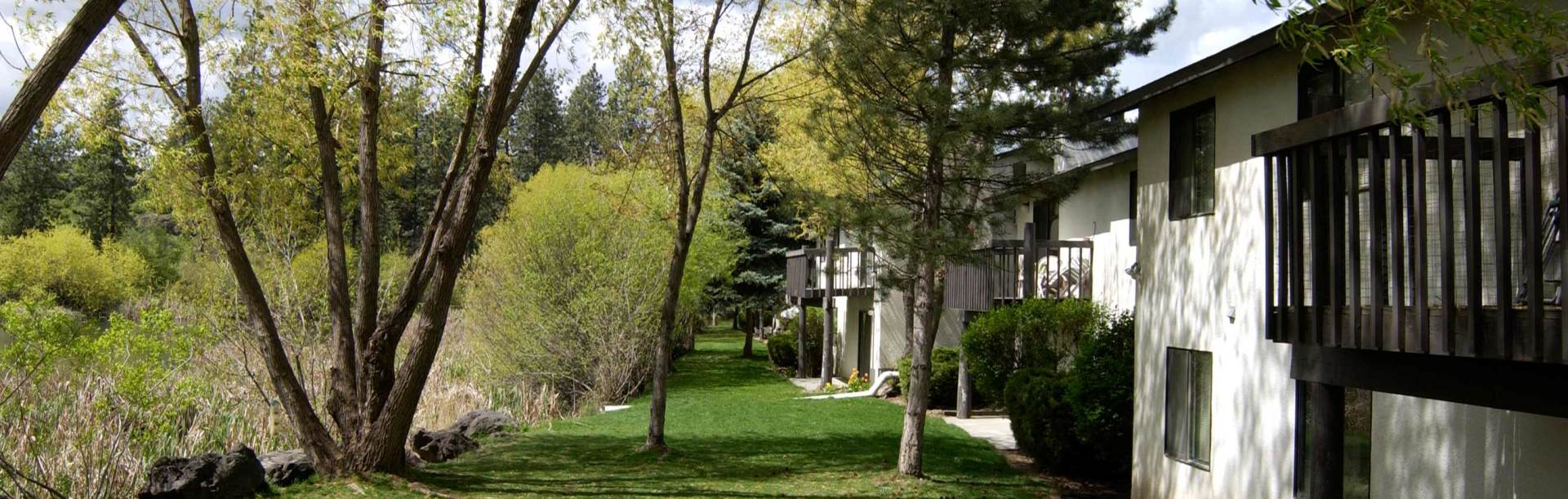 Apartments with trees around them