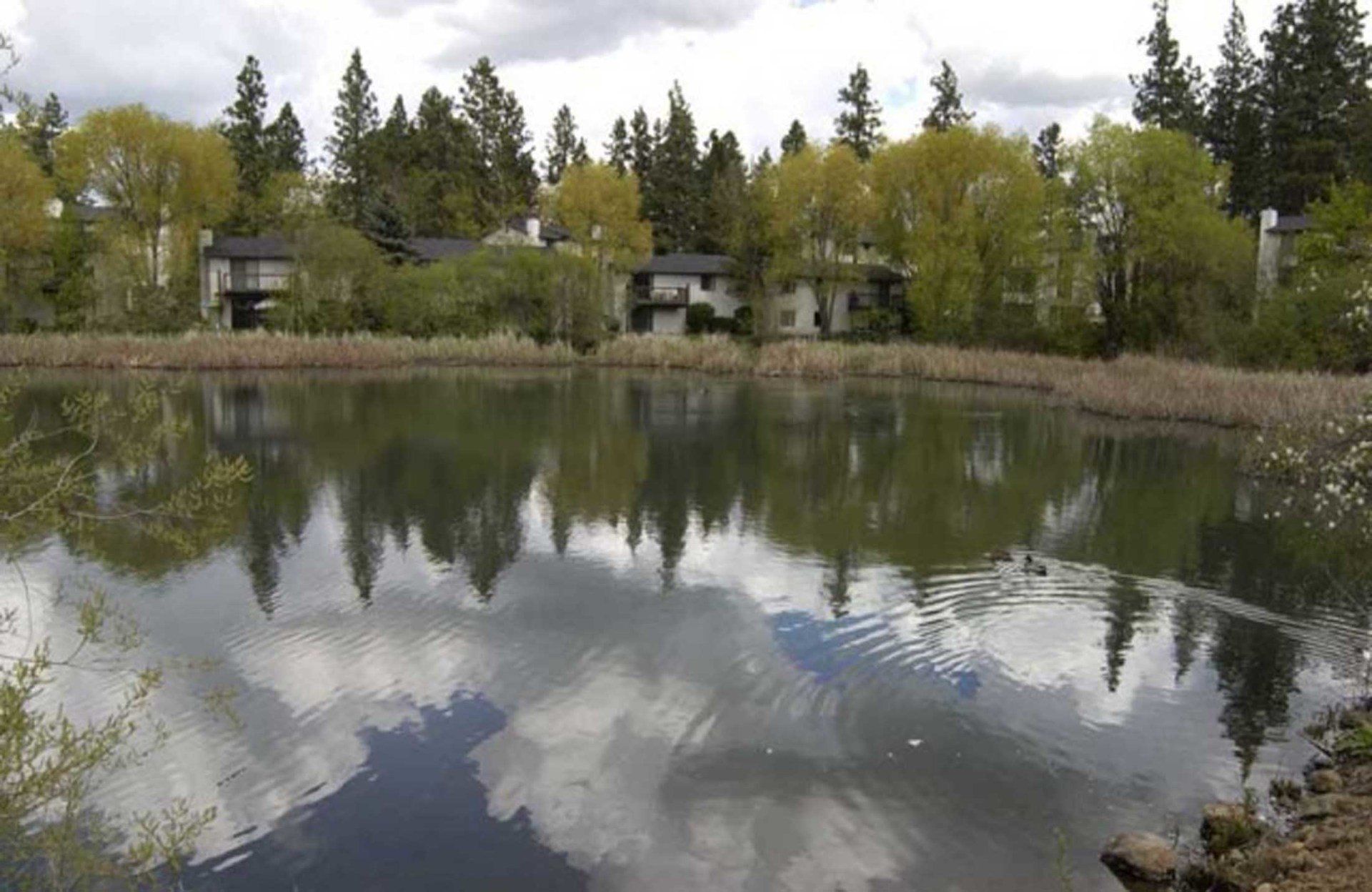 Rockcliffe Apartments