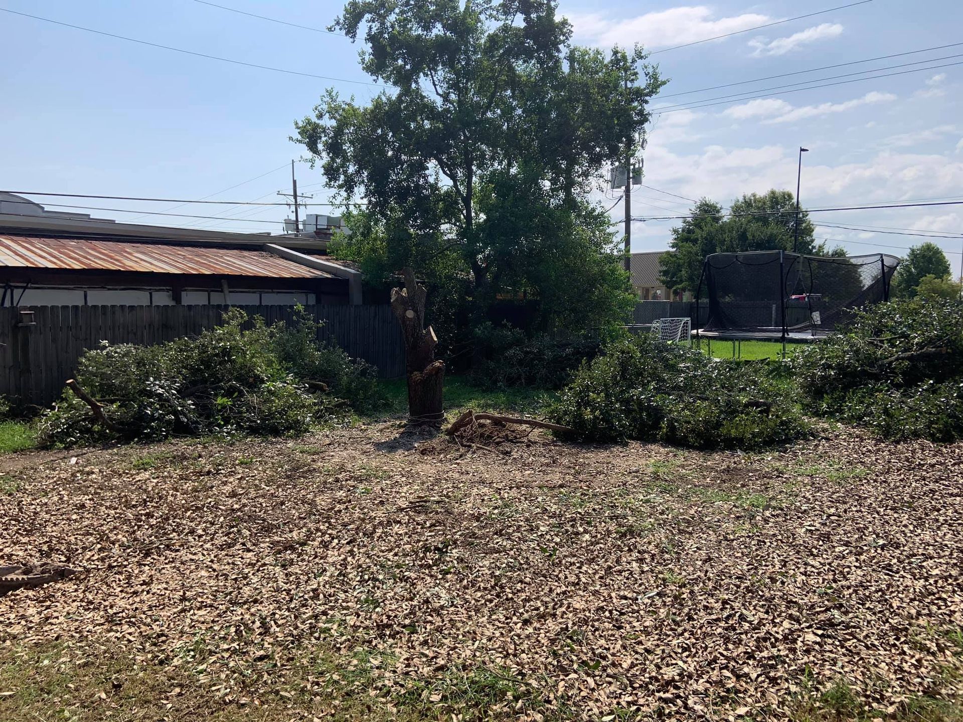 A large pile of leaves is in the middle of a field in front of a house.