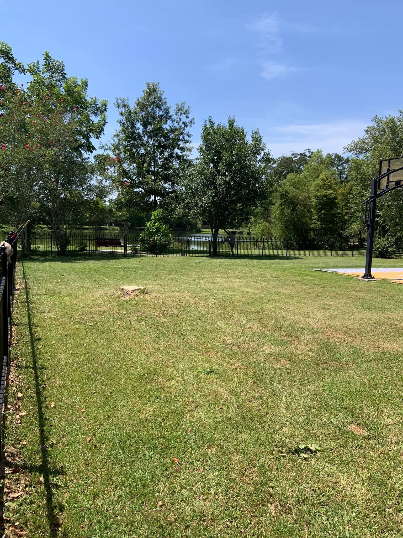 There is a basketball hoop in the middle of a lush green field.