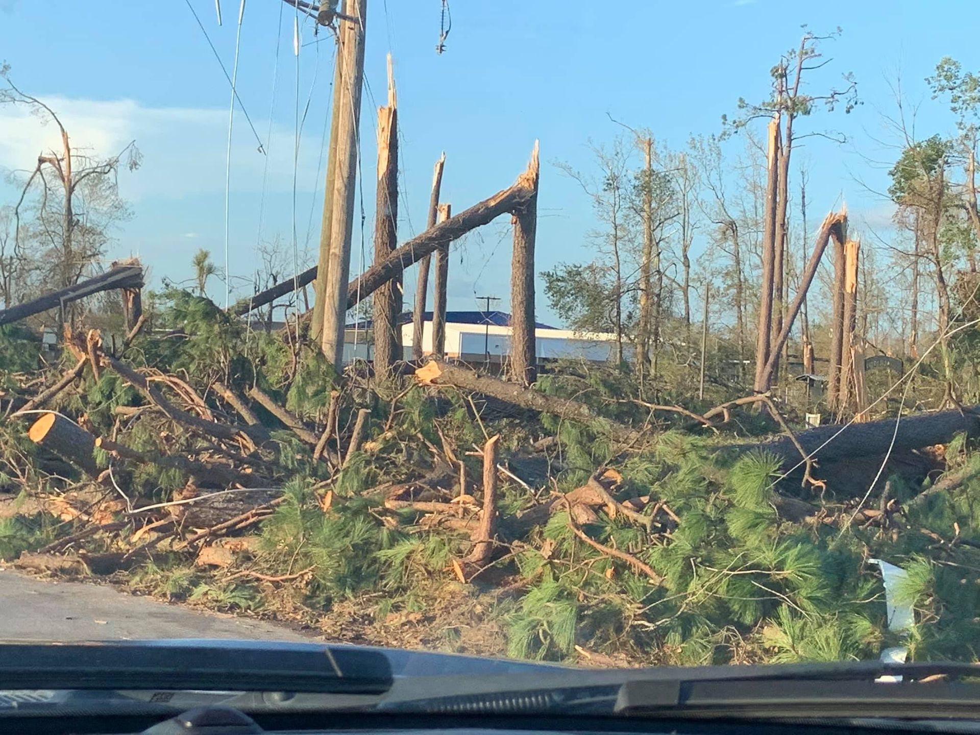 A car is driving down a road surrounded by fallen trees and power lines.