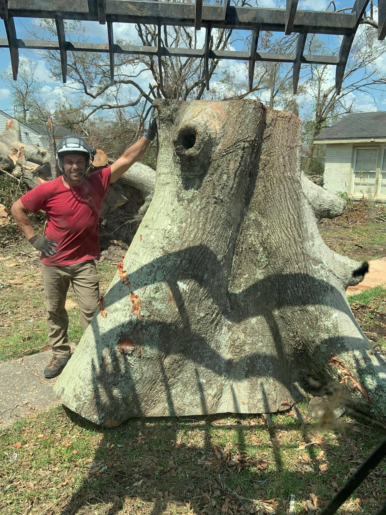 A tree has fallen on the roof of a house.
