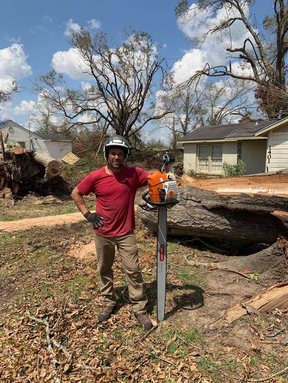 A large tree is being cut down by a crane.