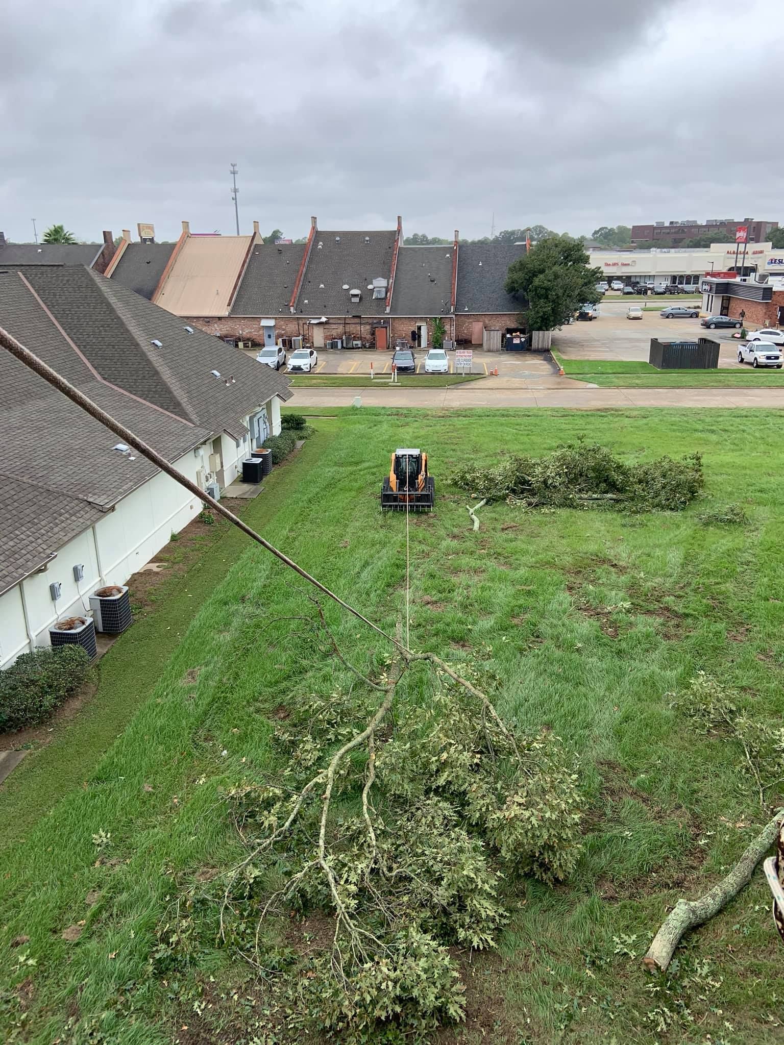 A tractor is cutting down a tree in a grassy field.