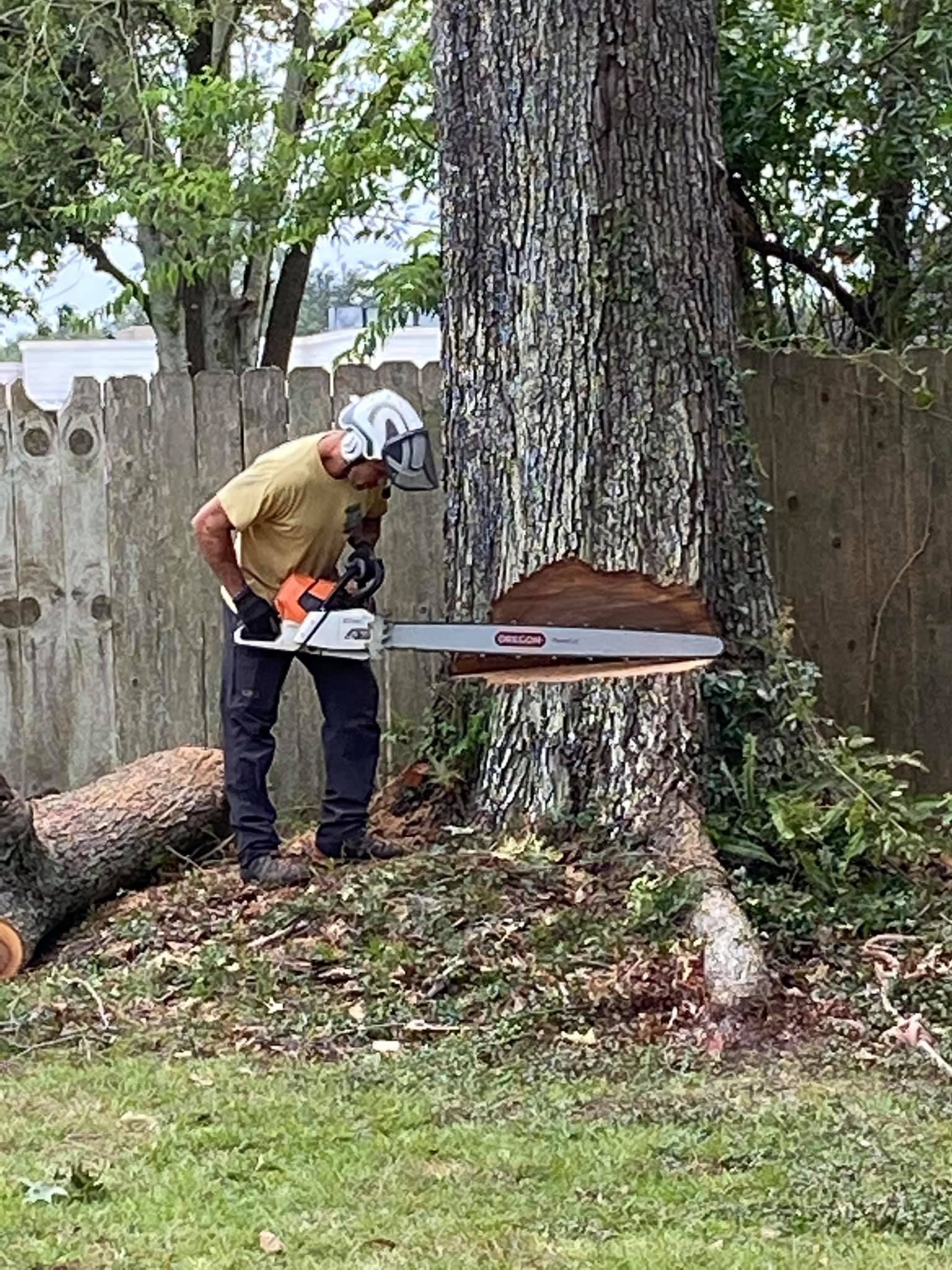 A man is cutting a tree with a chainsaw.