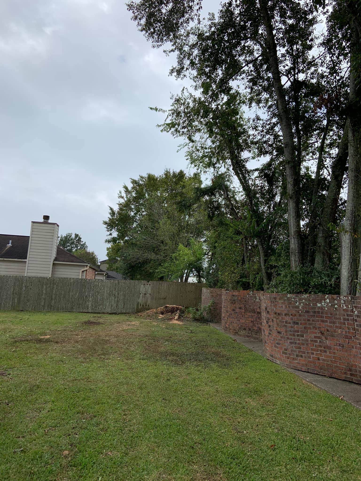 A fenced in yard with trees and a house in the background.