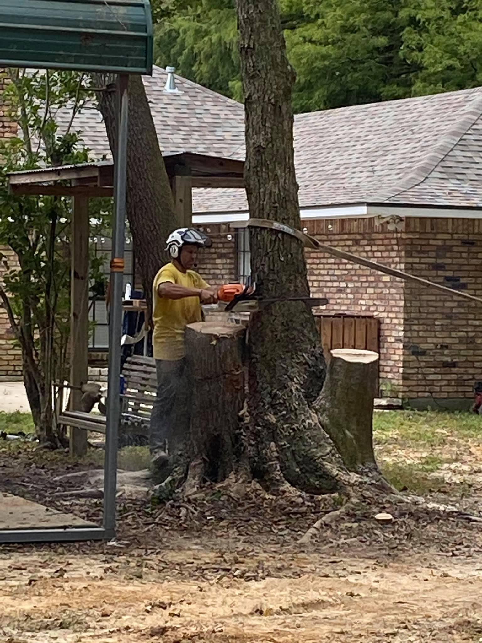 A man is cutting a tree stump with a chainsaw.