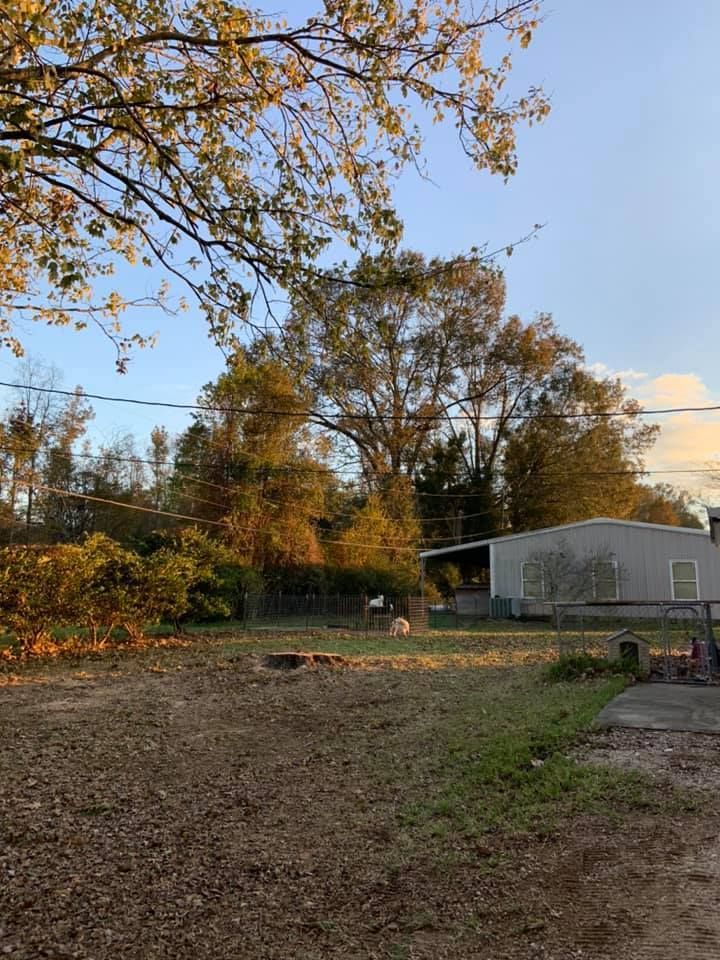 A house is sitting in the middle of a field with trees in the background.