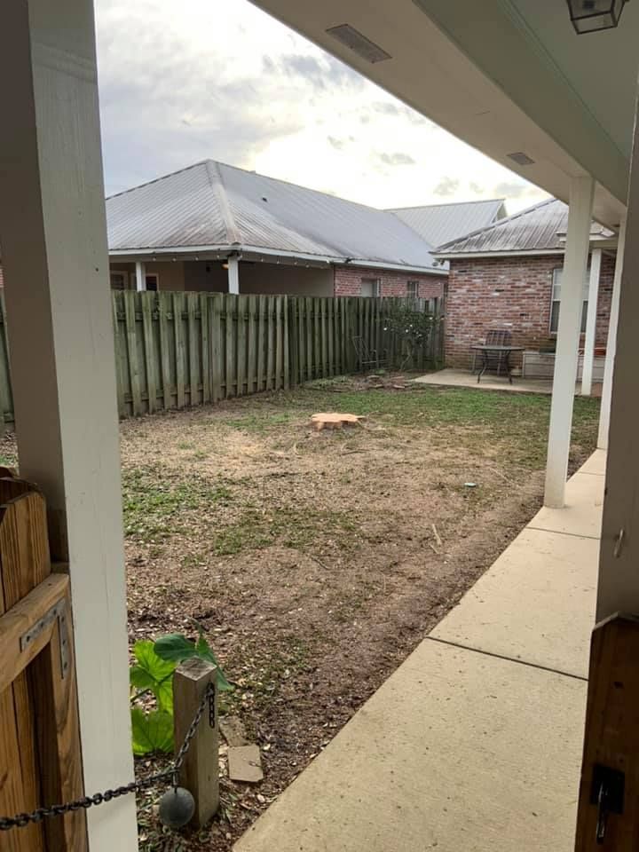 A dog is laying in the dirt in the backyard of a house.